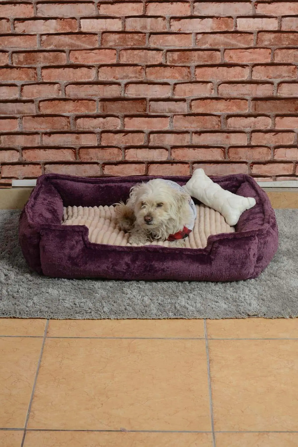 Elegant Plum Beige Pet Sanctuary Nest 70x50cm