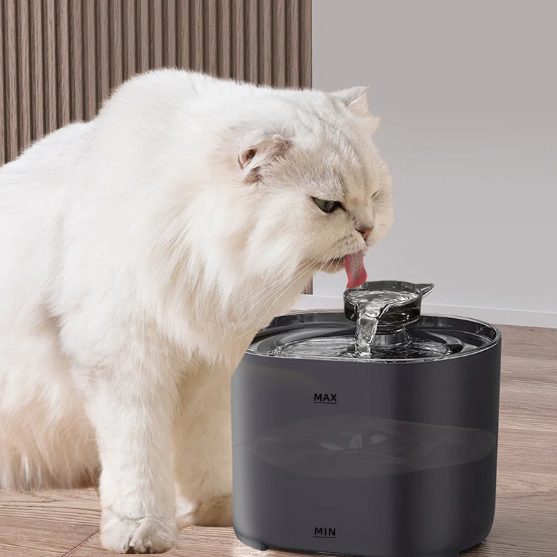 White cat drinking from automatic circulating water fountain dispenser

