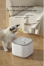 AquaFeed 3L Pet Water Dispenser - Enhanced Safety