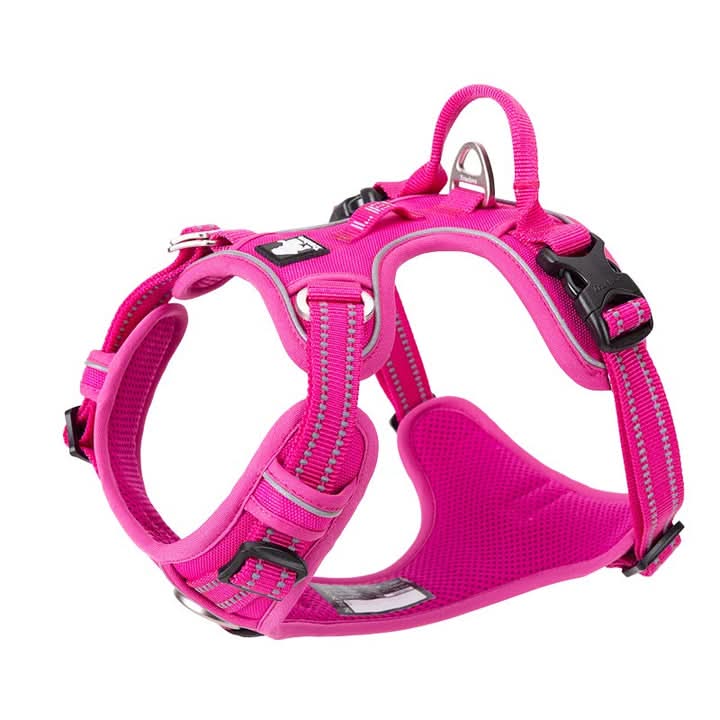 True Love No-Pull Training Dog Harness - Reflective & Breathable (Pink, Small)