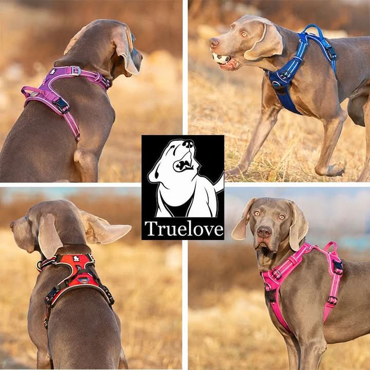 True Love No-Pull Training Dog Harness - Reflective & Breathable (Pink, Small)
