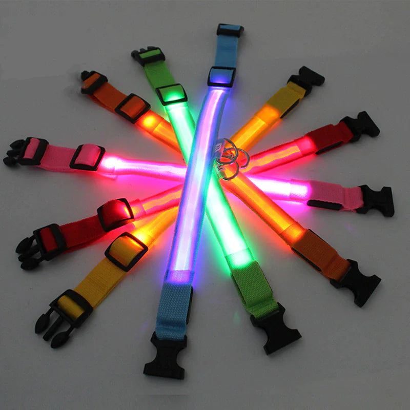 Flashing LED Safety Dog Collar