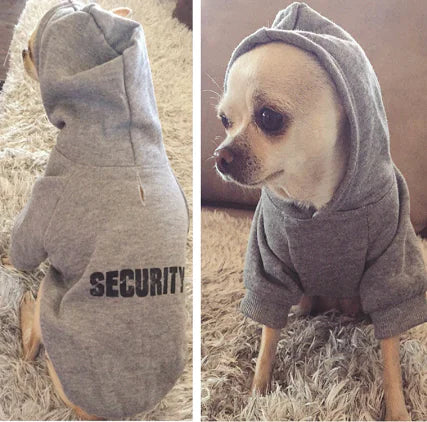 Dog wearing gray fleece hooded sweater outdoors showing comfortable fit
