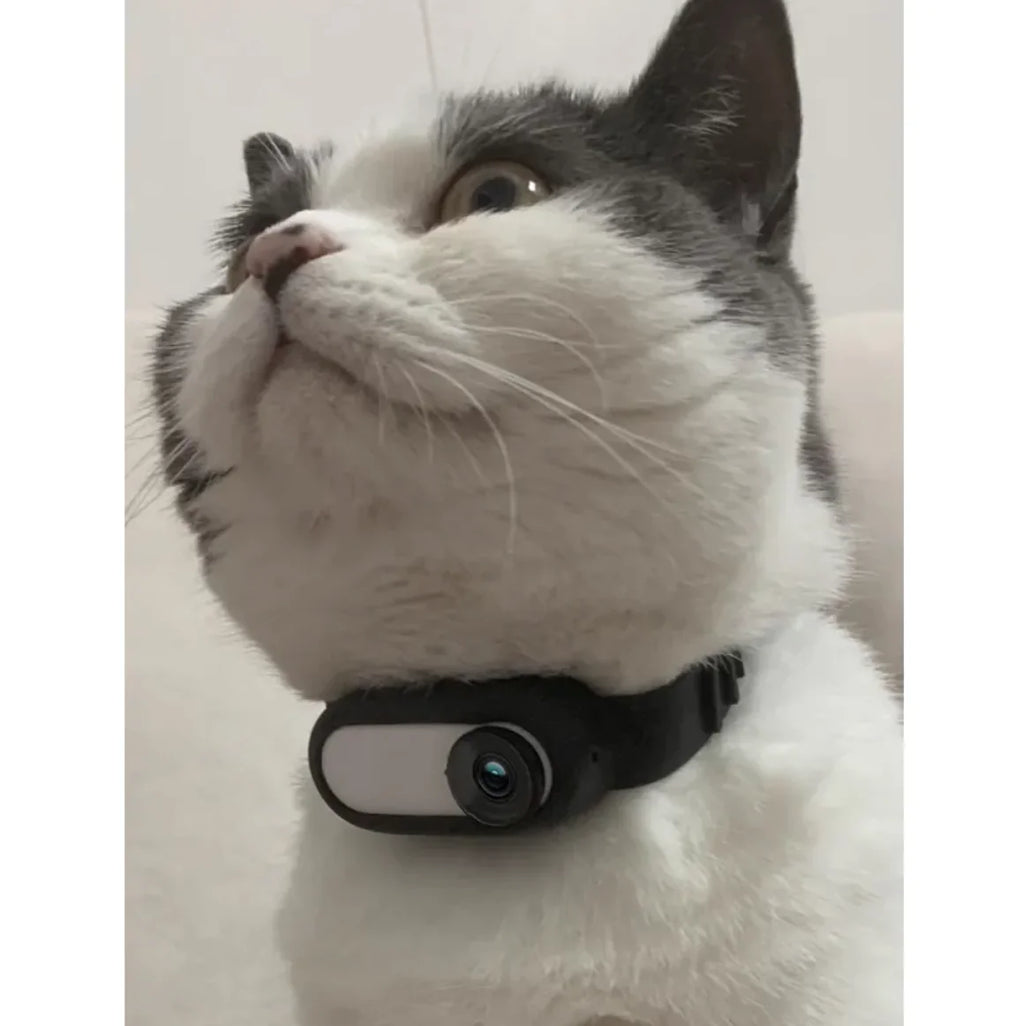 Pet POV camera mounted on cat collar showing wearable design
