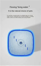 AquaFeed 3L Pet Water Dispenser - Enhanced Safety