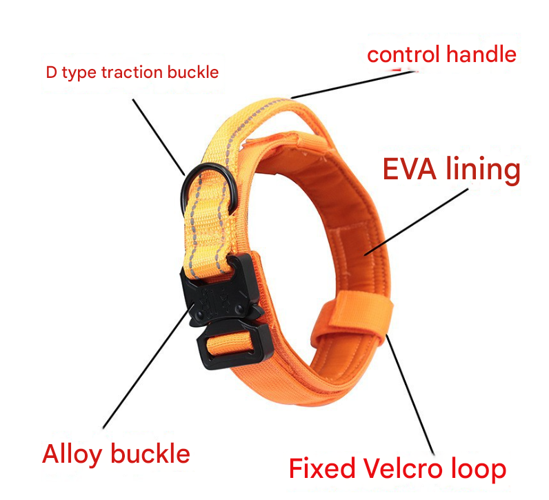 Hands-Free Dog Running Leash - Adjustable Waist Belt with Shock Absorbing Bungee