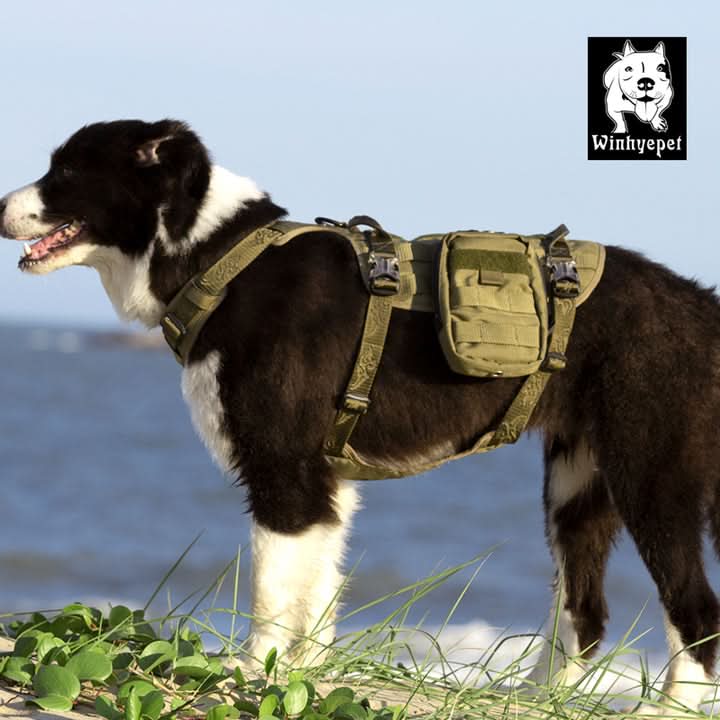 Tactical Military Dog Harness with Detachable Backpack - Army Green (Medium)