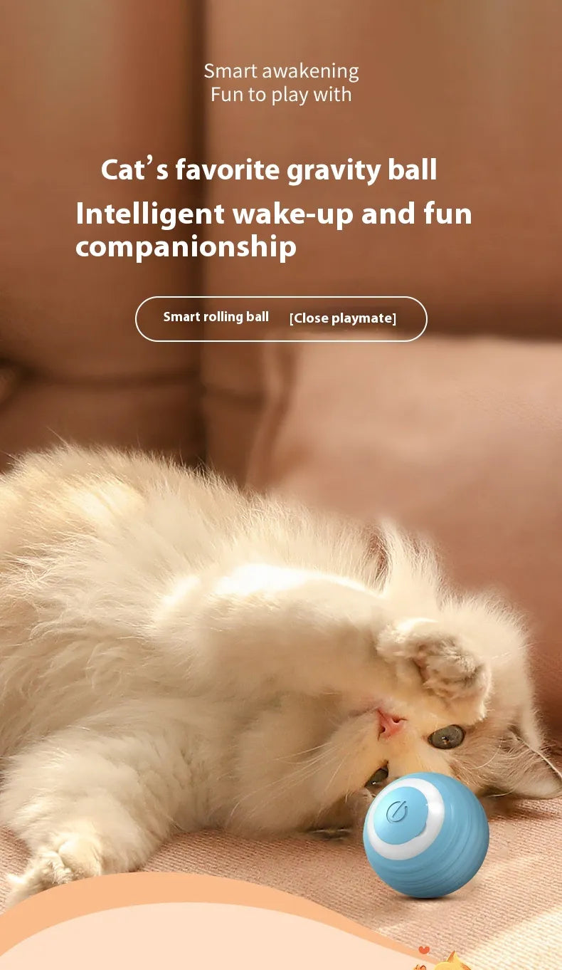 Dog chasing smart interactive ball toy during playtime
