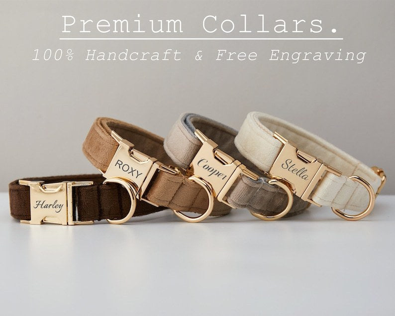 Premium Velvet Personalized Dog Collar & Leash Set with Bow Tie | Custom Engraved