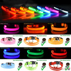 Flashing LED Safety Dog Collar