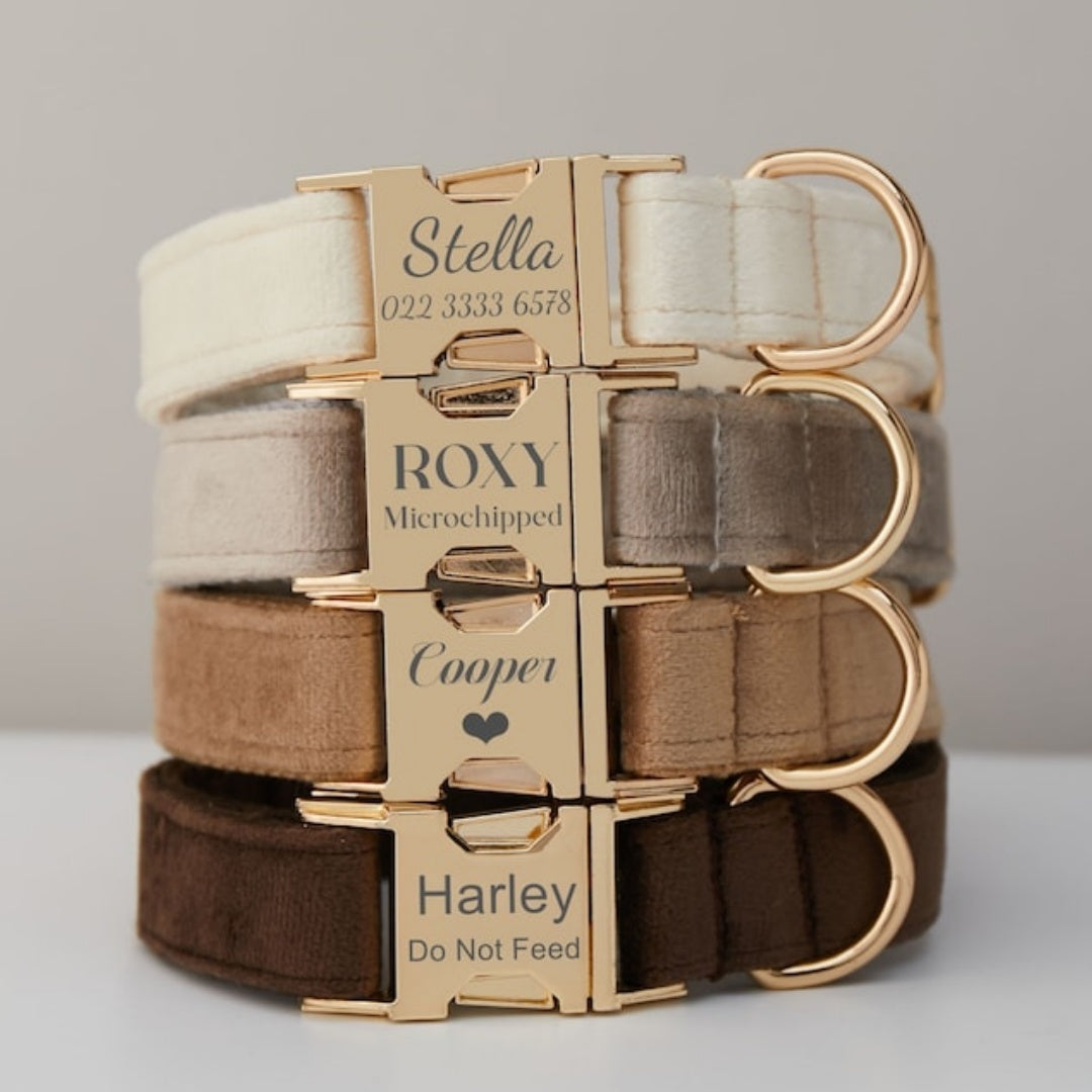 Premium Velvet Personalized Dog Collar & Leash Set with Bow Tie | Custom Engraved