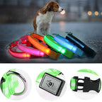 Flashing LED Safety Dog Collar