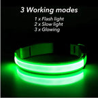 Flashing LED Safety Dog Collar