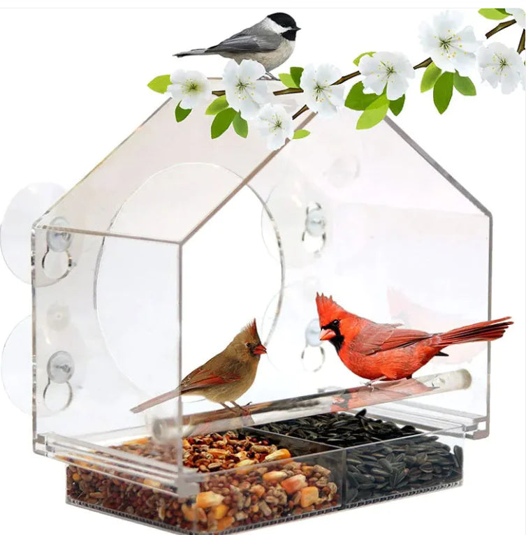 Acrylic window bird feeder with cardinal and sparrow eating seeds
