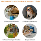 Pet communication button mat with four recordable buttons for training
