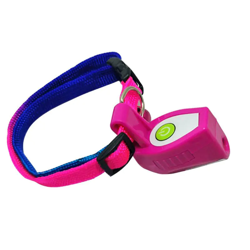 Laser Toy with Collar for Cats and Kittens